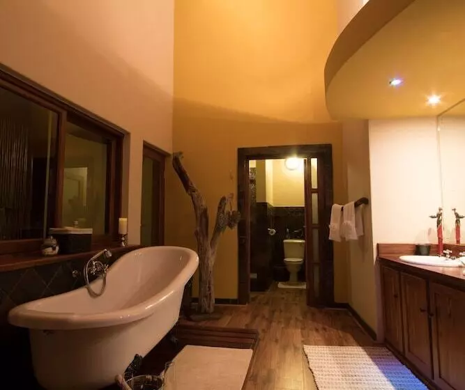 ホテル Phumelelo Lodge