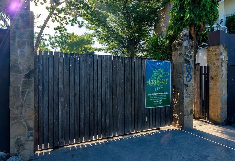 Pensjonat Ayo Homtel