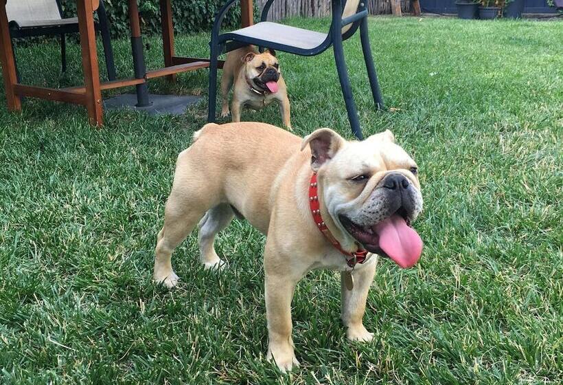 פנסיון Montacute Boutique Bunkhouse