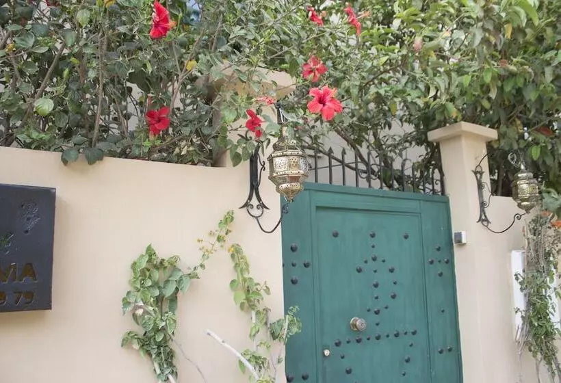 Riad Anma