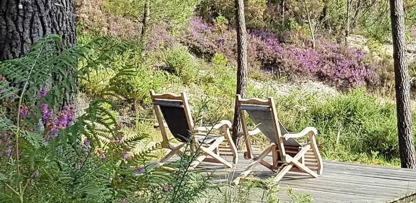 تختخواب و صبحانه Palika Lodge