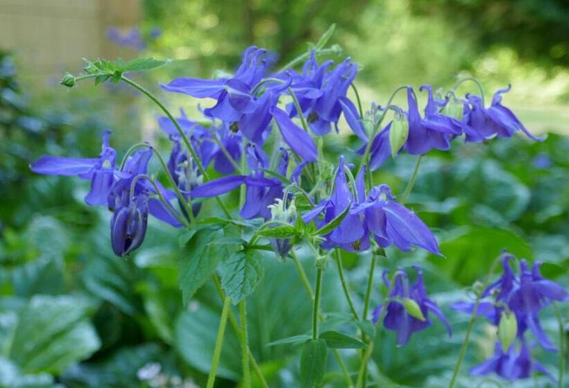 Hotelli Landhaus Schloss Kölzow