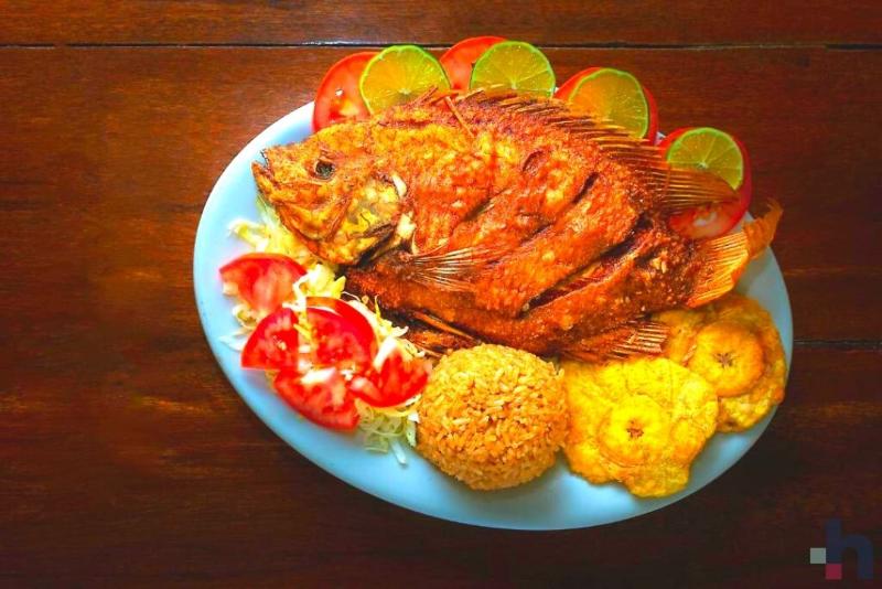 فندق Rodadero Inn By Geh Suites