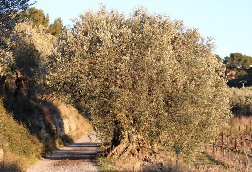 호텔 Auberge Saint Roch