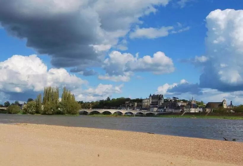 هتل L'aerogare Amboise