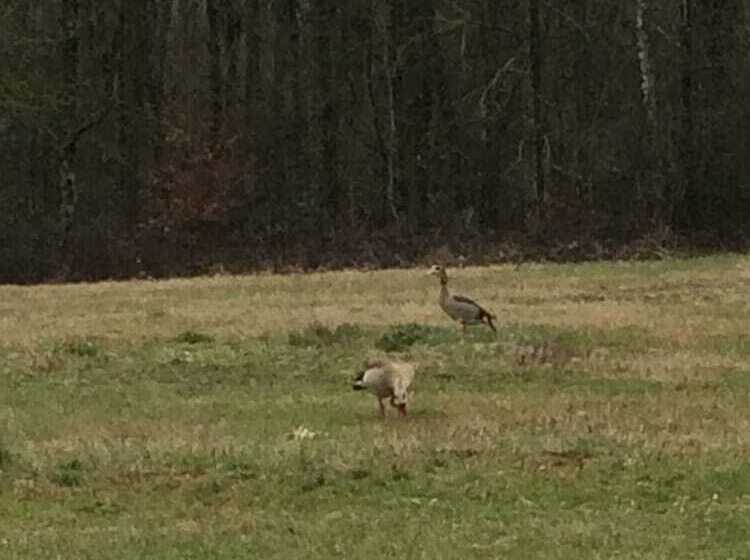 فندق Restaurant La Claire Foret