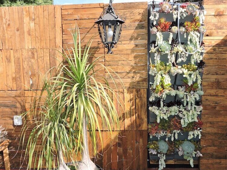 Bed and Breakfast La Casita De Coyoacán