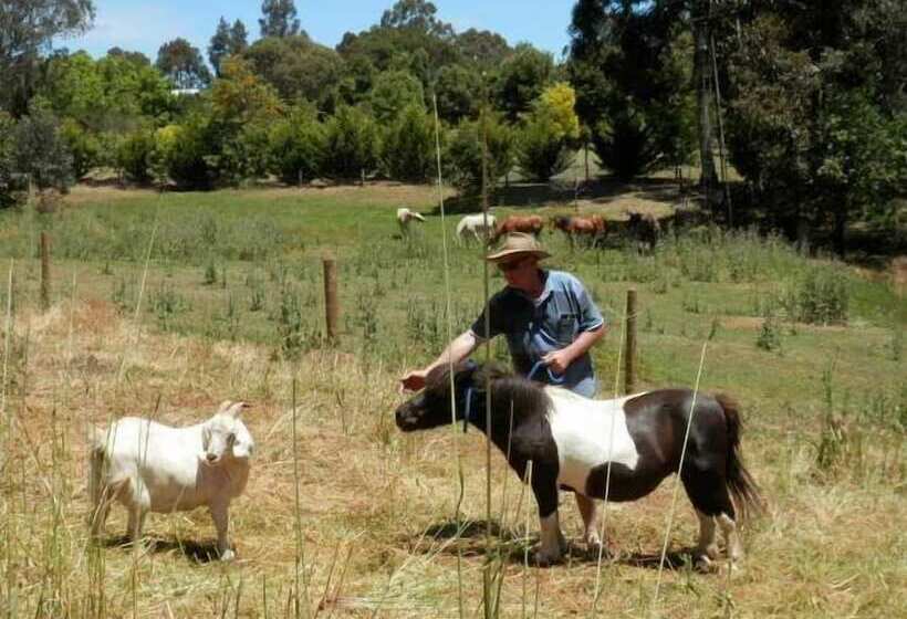 Country Cottages Of Bridgetown