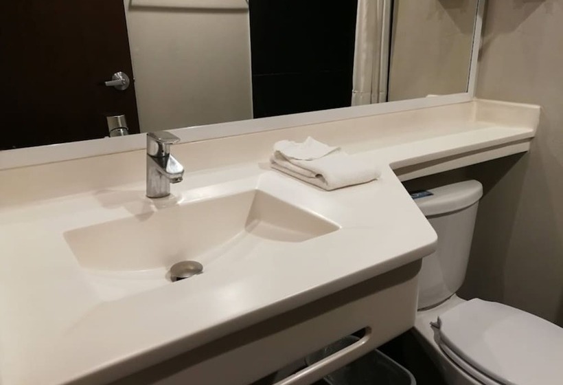 Отель City Express By Marriott La Raza