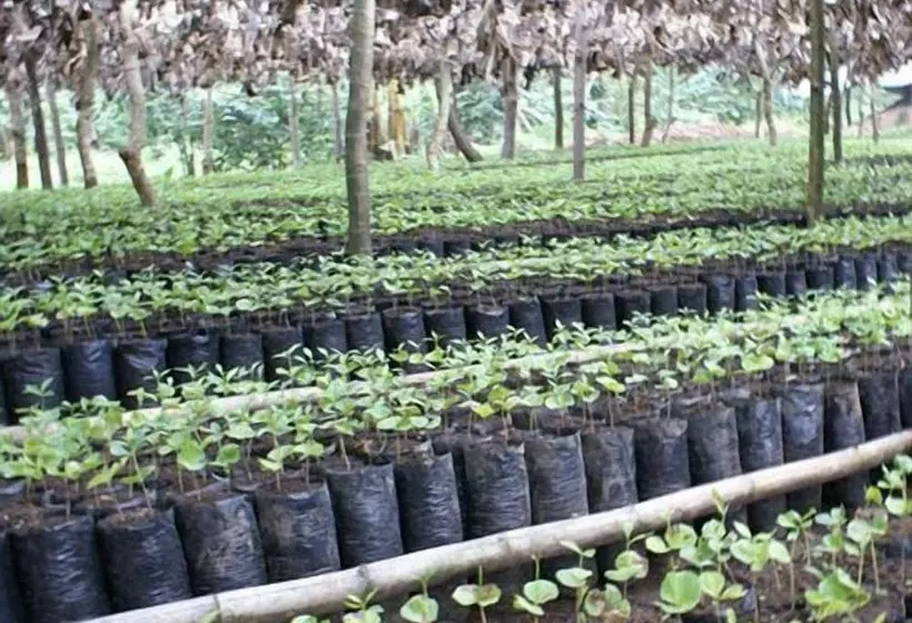 Hotelli Finca Santa Rosa