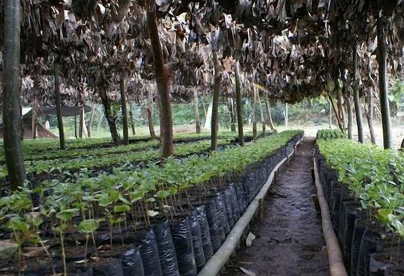 Szálloda Finca Santa Rosa