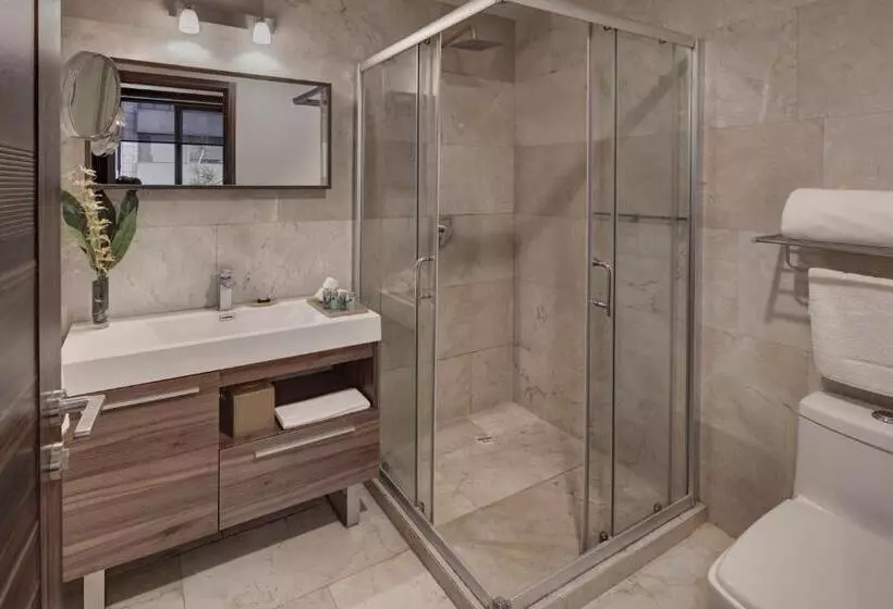 Mx Grand Suites
