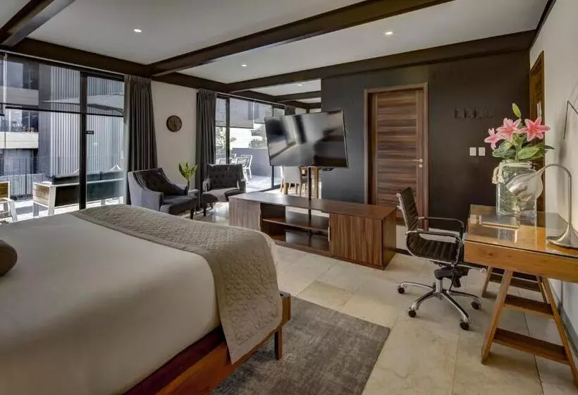 Mx Grand Suites