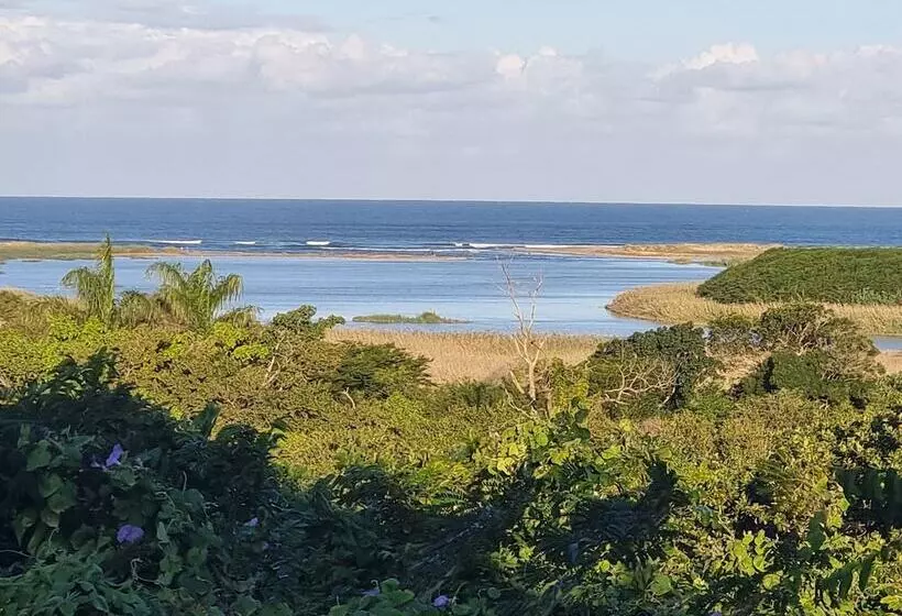 ペンション Ndiza Lodge And Cabanas