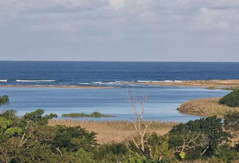 ペンション Ndiza Lodge And Cabanas