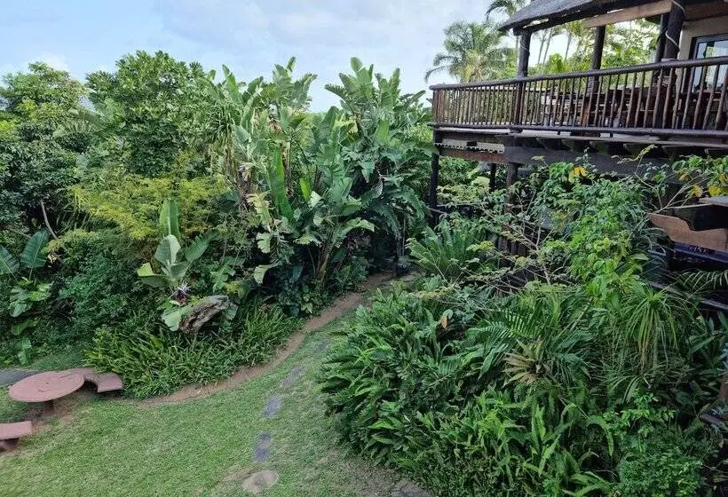 ペンション Ndiza Lodge And Cabanas