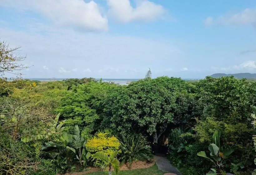 ペンション Ndiza Lodge And Cabanas