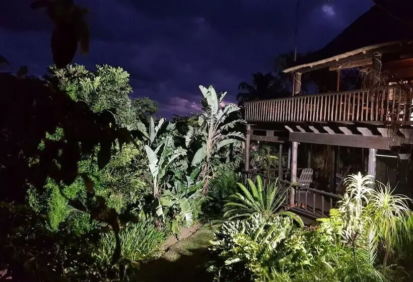 ペンション Ndiza Lodge And Cabanas