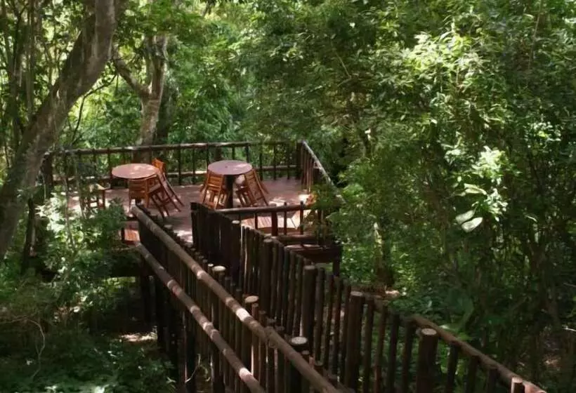 ペンション Ndiza Lodge And Cabanas