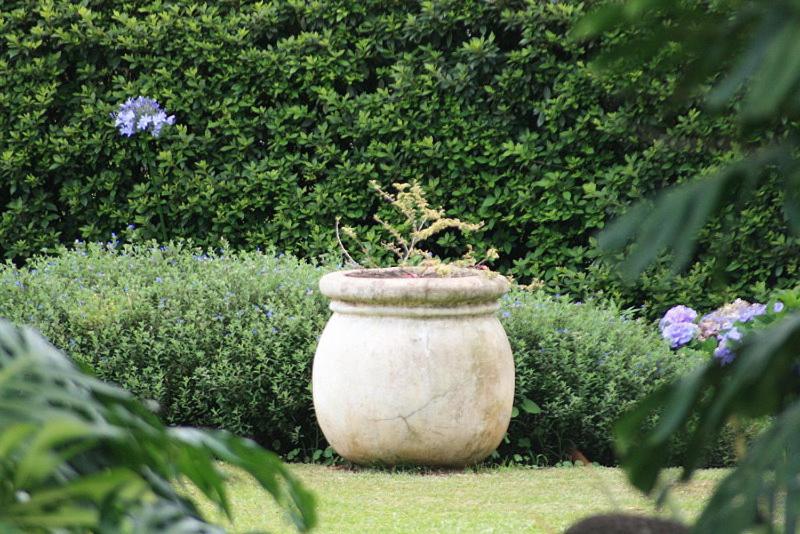 Отель Valley Lodge