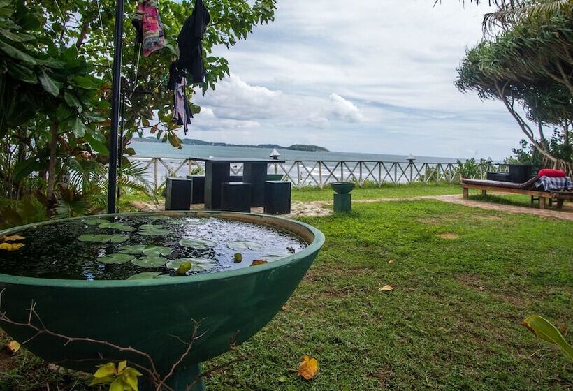 펜션 Dinsara Pearl Villa