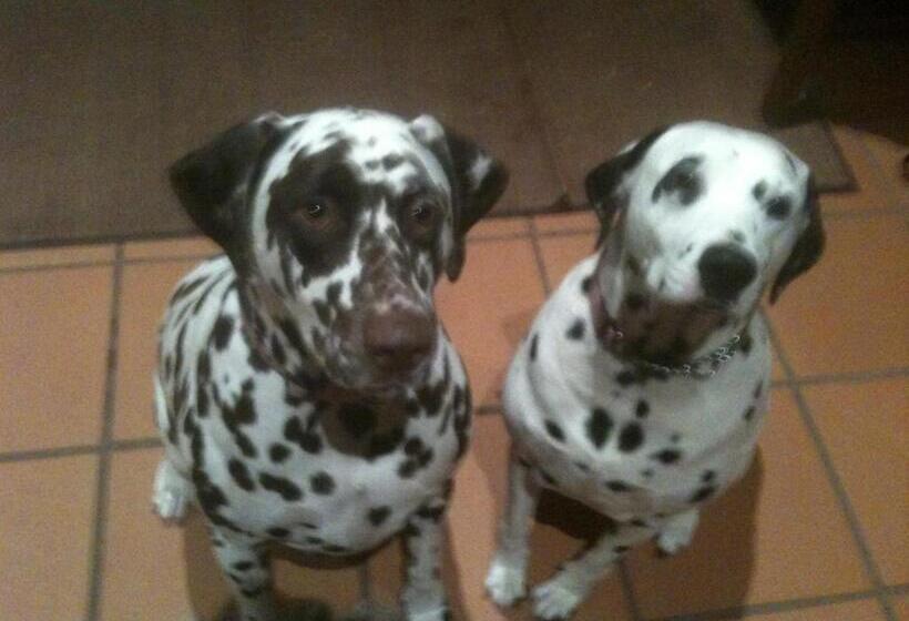 Tantarra Bed & Breakfast