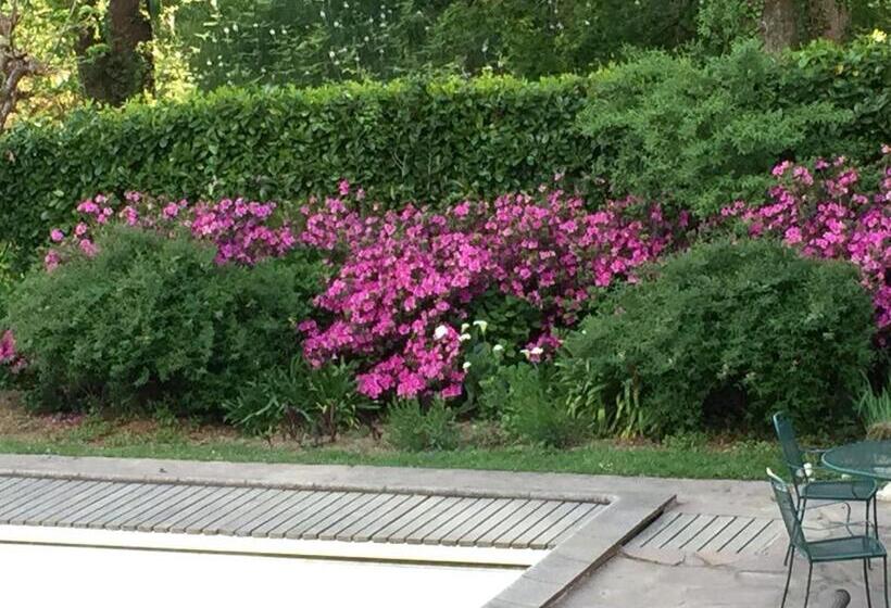 تختخواب و صبحانه Golfetmer