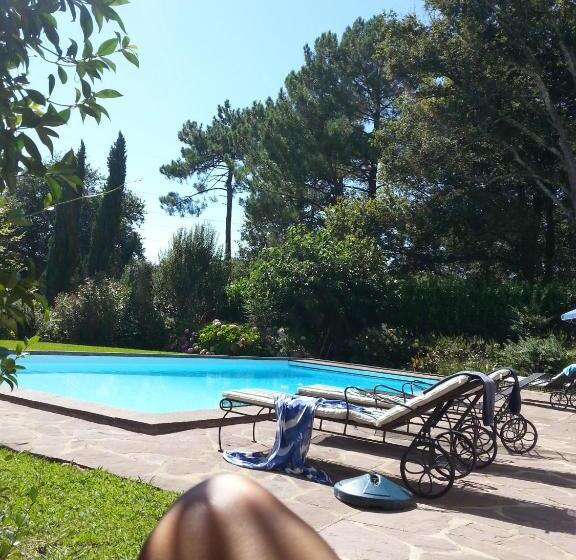 تختخواب و صبحانه Golfetmer