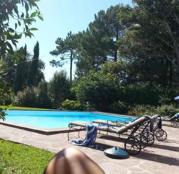 Aamiaismajoitus (B&B) Golfetmer