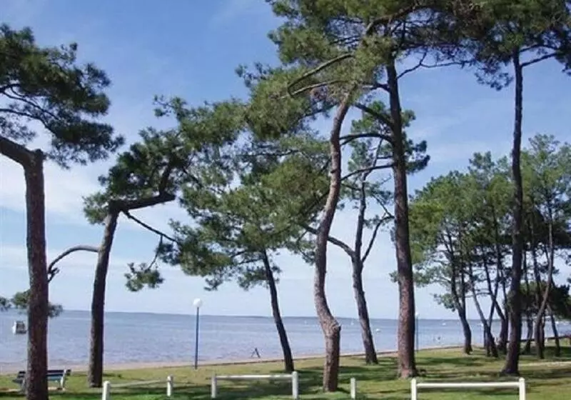 تختخواب و صبحانه Villa Alluro