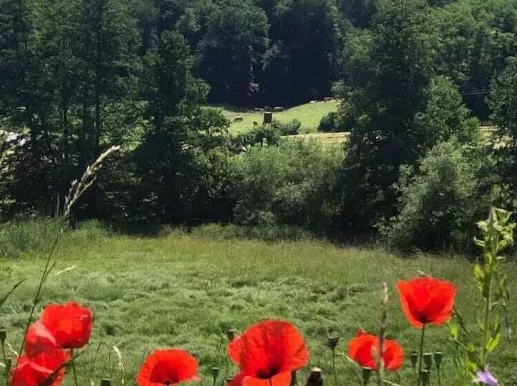 Land Gut Hotel Dornröschen