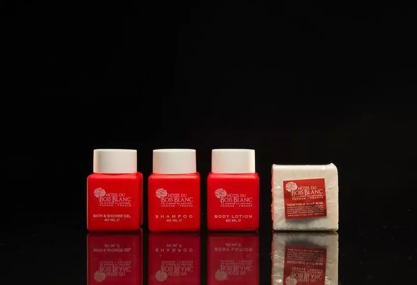 ホテル Hôtel Du Bois Blanc Domaine D Epeyssoles Georges Blanc