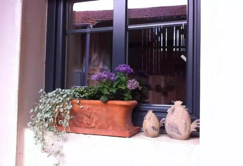 Aamiaismajoitus (B&B) Coté Cour Bischwihr Colmar