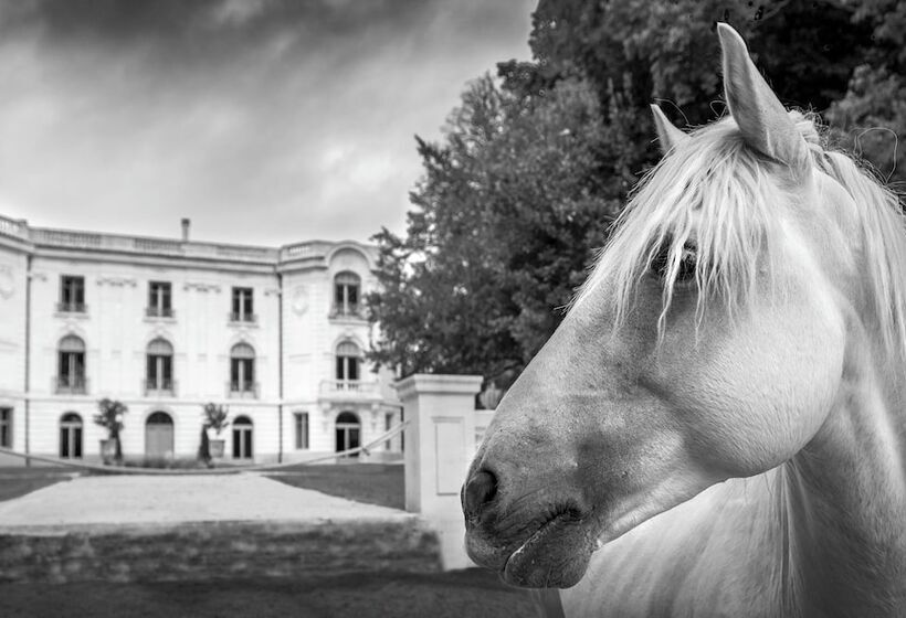 تختخواب و صبحانه Domaine De Biar