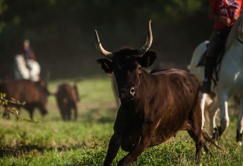 تختخواب و صبحانه Domaine De Biar