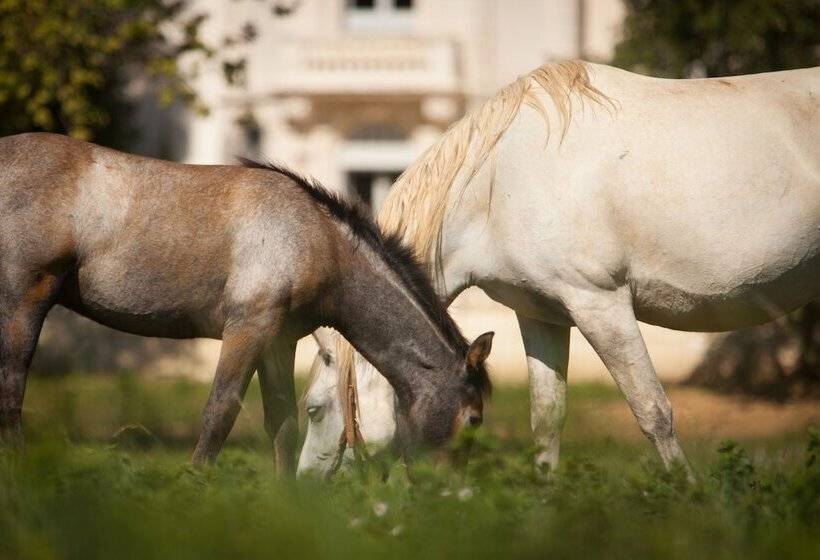 تختخواب و صبحانه Domaine De Biar