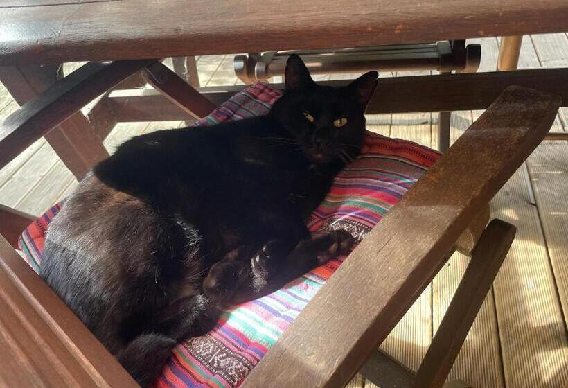 ベッドアンドブレックファースト La Chambre Du Voyageur