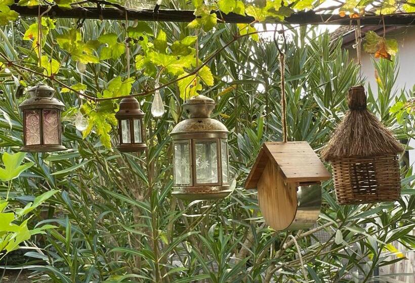 ベッドアンドブレックファースト La Chambre Du Voyageur