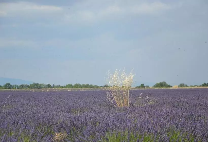 ベッドアンドブレックファースト Les Terrasses De Valensole
