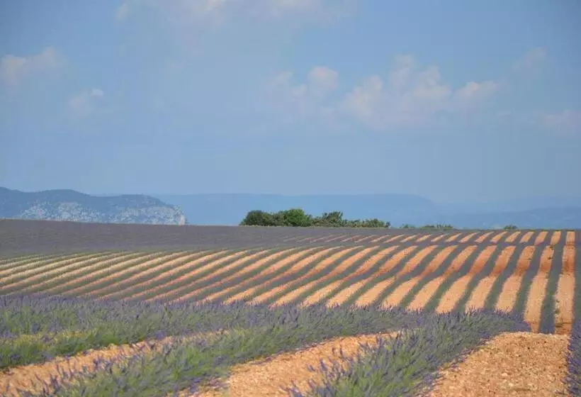 ベッドアンドブレックファースト Les Terrasses De Valensole