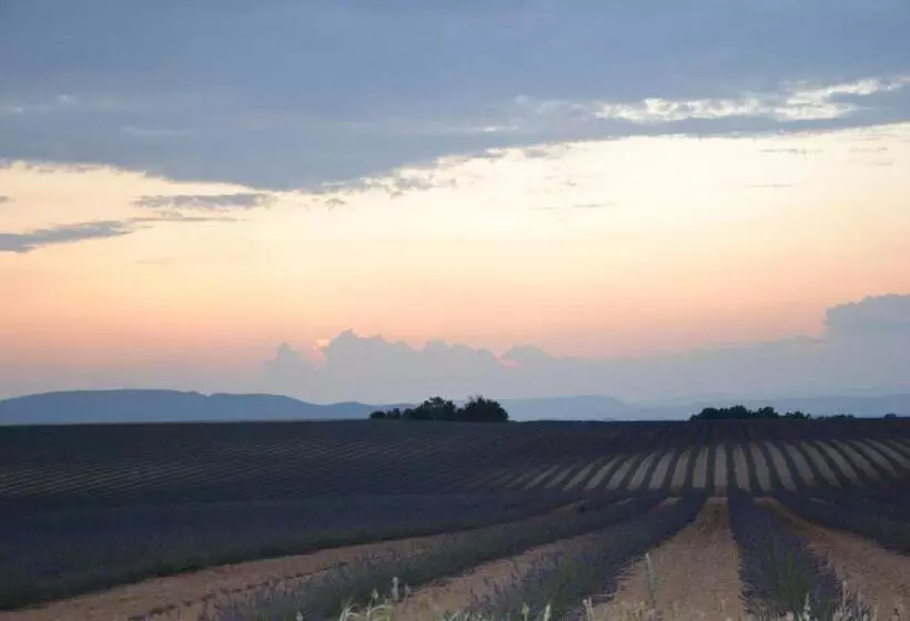 ベッドアンドブレックファースト Les Terrasses De Valensole