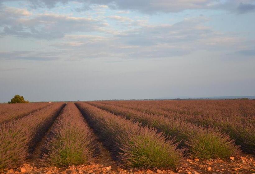 צימר Les Terrasses De Valensole