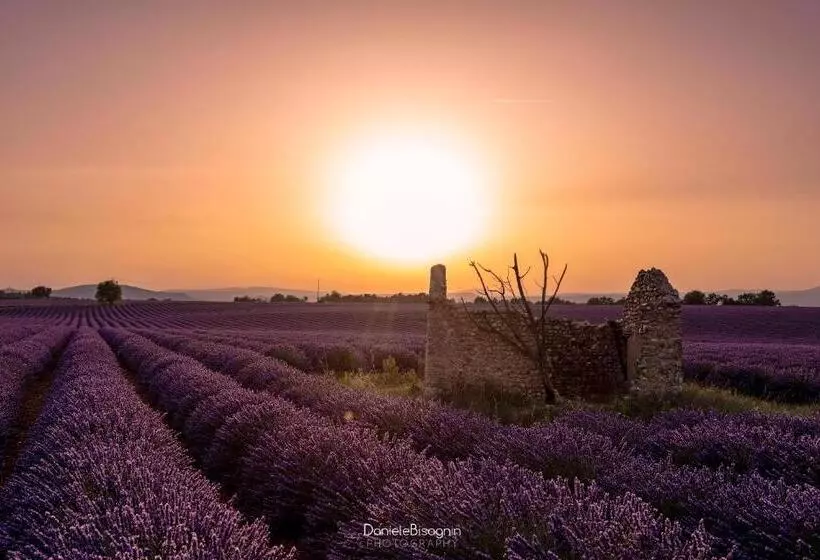 ベッドアンドブレックファースト Les Terrasses De Valensole