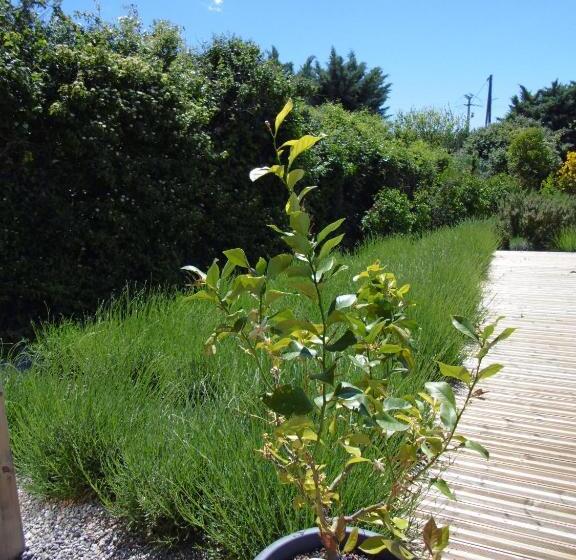 צימר Les Terrasses De Valensole