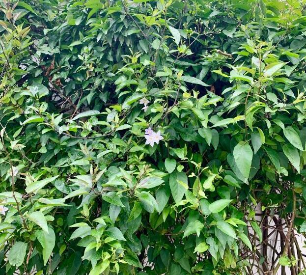 צימר Maison Face Au Soleil