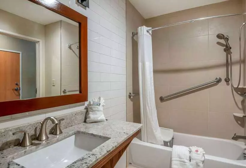 هتل Comfort Suites University