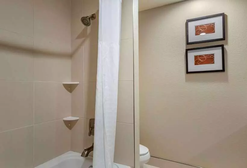 هتل Comfort Suites University