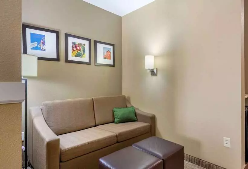 هتل Comfort Suites University