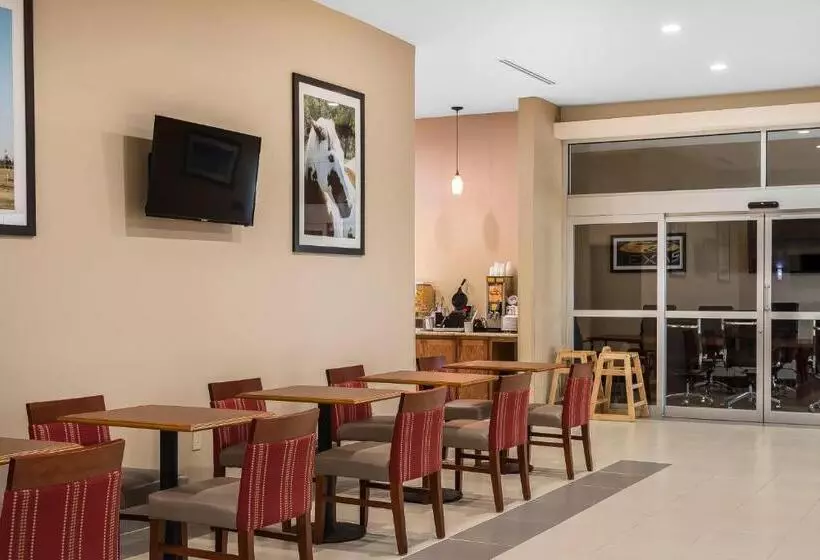 هتل Comfort Suites University