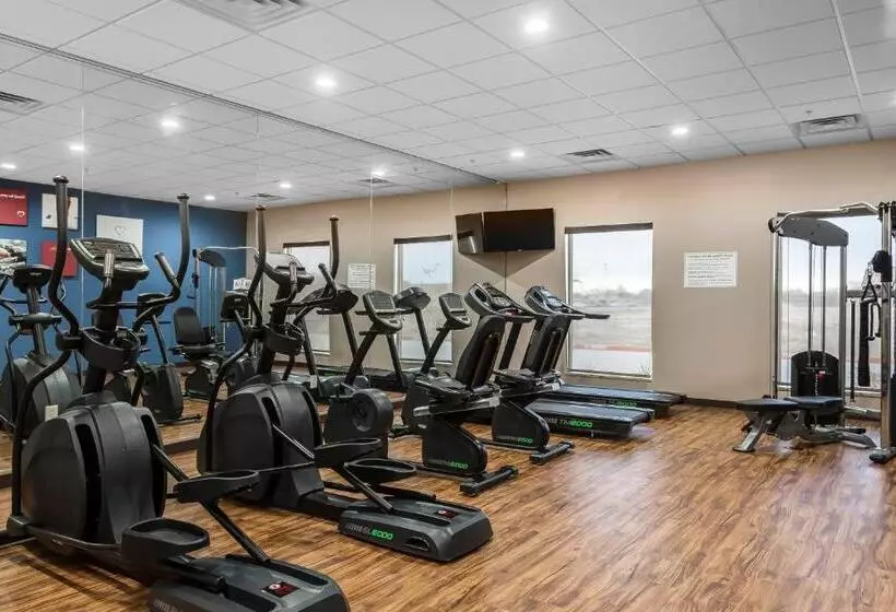 هتل Comfort Suites University